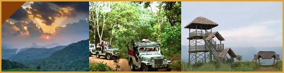 Thekkady Jeep Safari | Jeep Safari in Thekkady | Jungle Jeep Safari in Thekkady | Best Jeep Safari in Thekkady | Thekkady Jeep Point | Jeep Ride in Thekkady | Thekkady Periyar Adventure Safari | Jungle Jeep Safari in Thekkady | Thekkady Periyar Jeep Safari | Explore Wildlife & Nature in Kerala | Thekkady Jeep Safari | Jeep Safari Thekkady | Thekkady Wildlife Safari | Thekkady Jungle Safari | Thekkady Adventure Safari | Thekkady National Park Safari | Periyar Jeep Safari | Thekkady Forest Safari | Wildlife Jeep Safari Thekkady | Thekkady Off-Road Safari | Thekkady Trekking and Safari | Thekkady Nature Safari | Thekkady Scenic Safari | Thekkady Wildlife Tour | Thekkady Jungle Trek and Safari | Thekkady Jeep Safari Booking | Thekkady Wildlife Safari Packages | Thekkady Jungle Safari Cost | Thekkady Adventure Safari Tours | Thekkady Sightseeing | Sightseeing in Thekkady | Thekkady Tourist Places | Thekkady Travel Guide | Thekkady Attractions | Thekkady Wildlife Sanctuary | Periyar National Park | Thekkady Lake | Thekkady Boating | Thekkady Trekking | Thekkady Hiking | Thekkady Waterfalls | Thekkady Viewpoints | Thekkady Temples |Thekkady Culture | Thekkady Sightseeing Packages | Thekkady Tourist Places List | Thekkady Travel Itinerary Thekkady Attractions and Activities | Thekkady Wildlife Sanctuary Tour | Periyar National Park Safari | Thekkady Lake Boating Timings | Thekkady Trekking Trails | Thekkady Hiking Routes | Thekkady Waterfalls and Swimming | Honeymoon Packages | Luxury Hotels | Thekkady Budget Hotels | Thekkady 5-Star Hotels | Thekkady 3-Star Hotels | Thekkady Cheap Hotels | Thekkady Online Hotel Booking | Thekkady Hotel Packages | Thekkady Hotel Deals | Thekkady Luxury Resorts and Hotels | Thekkady Budget-Friendly Accommodation | Car Rentals in Thekkady | Thekkady Car Rentals | Rent a Car in Thekkady | Thekkady Car Hire | Car Rental Thekkady | Thekkady Car Rental Services | Car Hire in Thekkady | Thekkady Car Rental Agencies | Car Rentals Thekkady Kerala | Thekkady Car Rental Companies | Affordable Car Rentals in Thekkady | Luxury Car Rentals in Thekkady | Economy Car Rentals in Thekkady | Car Rentals in Thekkady with Driver | Self-Drive Car Rentals in Thekkady | Thekkady Car Rentals for Sightseeing | Car Hire in Thekkady for Periyar National Park | Thekkady Car Rental for Family Trip | Car Rentals in Thekkady for Group Tour | Thekkady Car Hire for Honeymoon | Car Rentals in Thekkady with GPS | Thekkady Car Rental for Outstation | Car Hire in Thekkady for Local Sightseeing|Thekkady Car Rental for Airport Transfer | Car Rentals in Thekkady with Unlimited Kms