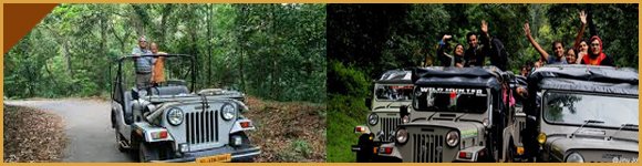 Thekkady Jeep Safari | Jeep Safari in Thekkady | Jungle Jeep Safari in Thekkady | Best Jeep Safari in Thekkady | Thekkady Jeep Point | Jeep Ride in Thekkady | Thekkady Periyar Adventure Safari | Jungle Jeep Safari in Thekkady | Thekkady Periyar Jeep Safari | Explore Wildlife & Nature in Kerala | Thekkady Jeep Safari | Jeep Safari Thekkady | Thekkady Wildlife Safari | Thekkady Jungle Safari | Thekkady Adventure Safari | Thekkady National Park Safari | Periyar Jeep Safari | Thekkady Forest Safari | Wildlife Jeep Safari Thekkady | Thekkady Off-Road Safari | Thekkady Trekking and Safari | Thekkady Nature Safari | Thekkady Scenic Safari | Thekkady Wildlife Tour | Thekkady Jungle Trek and Safari | Thekkady Jeep Safari Booking | Thekkady Wildlife Safari Packages | Thekkady Jungle Safari Cost | Thekkady Adventure Safari Tours | Thekkady Sightseeing | Sightseeing in Thekkady | Thekkady Tourist Places | Thekkady Travel Guide | Thekkady Attractions | Thekkady Wildlife Sanctuary | Periyar National Park | Thekkady Lake | Thekkady Boating | Thekkady Trekking | Thekkady Hiking | Thekkady Waterfalls | Thekkady Viewpoints | Thekkady Temples |Thekkady Culture | Thekkady Sightseeing Packages | Thekkady Tourist Places List | Thekkady Travel Itinerary Thekkady Attractions and Activities | Thekkady Wildlife Sanctuary Tour | Periyar National Park Safari | Thekkady Lake Boating Timings | Thekkady Trekking Trails | Thekkady Hiking Routes | Thekkady Waterfalls and Swimming | Honeymoon Packages | Luxury Hotels | Thekkady Budget Hotels | Thekkady 5-Star Hotels | Thekkady 3-Star Hotels | Thekkady Cheap Hotels | Thekkady Online Hotel Booking | Thekkady Hotel Packages | Thekkady Hotel Deals | Thekkady Luxury Resorts and Hotels | Thekkady Budget-Friendly Accommodation | Car Rentals in Thekkady | Thekkady Car Rentals | Rent a Car in Thekkady | Thekkady Car Hire | Car Rental Thekkady | Thekkady Car Rental Services | Car Hire in Thekkady | Thekkady Car Rental Agencies | Car Rentals Thekkady Kerala | Thekkady Car Rental Companies | Affordable Car Rentals in Thekkady | Luxury Car Rentals in Thekkady | Economy Car Rentals in Thekkady | Car Rentals in Thekkady with Driver | Self-Drive Car Rentals in Thekkady | Thekkady Car Rentals for Sightseeing | Car Hire in Thekkady for Periyar National Park | Thekkady Car Rental for Family Trip | Car Rentals in Thekkady for Group Tour | Thekkady Car Hire for Honeymoon | Car Rentals in Thekkady with GPS | Thekkady Car Rental for Outstation | Car Hire in Thekkady for Local Sightseeing|Thekkady Car Rental for Airport Transfer | Car Rentals in Thekkady with Unlimited Kms